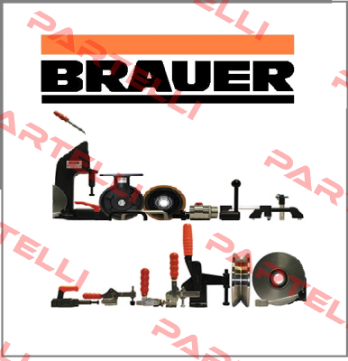 Brauer