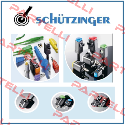 Schutzinger