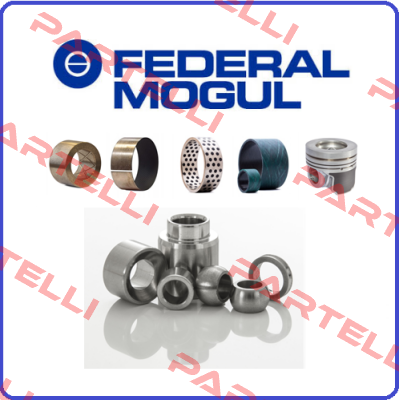 Federal Mogul