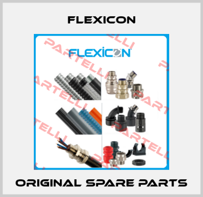 Flexicon