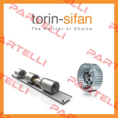 Torin-Sifan