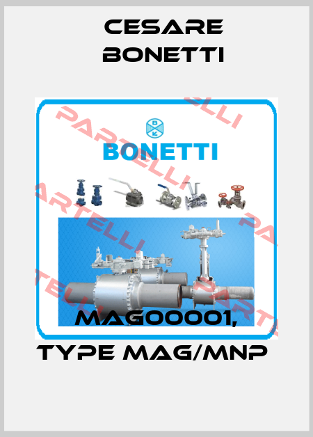 MAG00001, type MAG/MNP  Cesare Bonetti