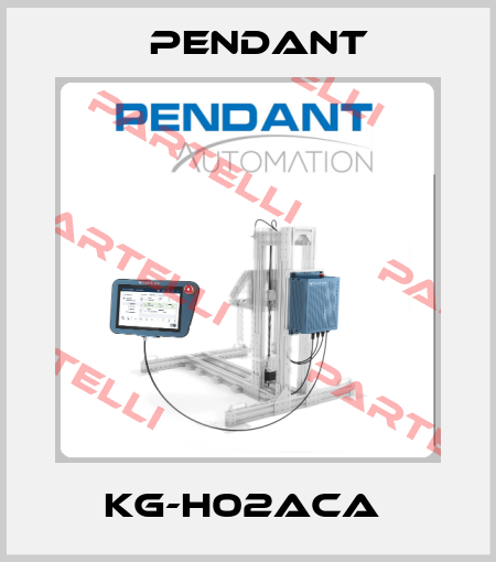 KG-H02ACA  PENDANT