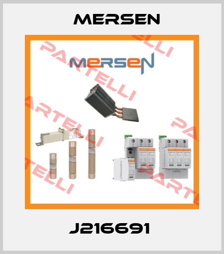 J216691  Mersen