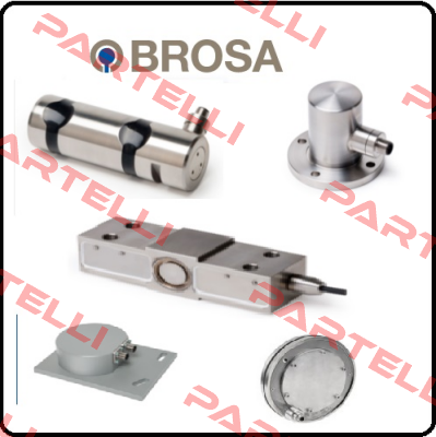 TYPE:0310  Brosa