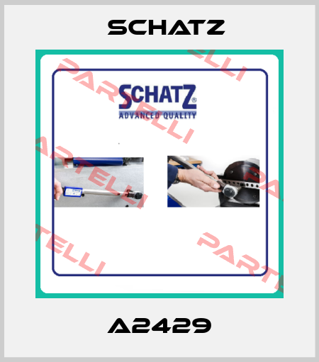 A2429 Schatz