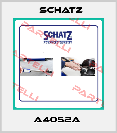 A4052A  Schatz