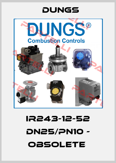 IR243-12-52 DN25/PN10 - obsolete  Dungs