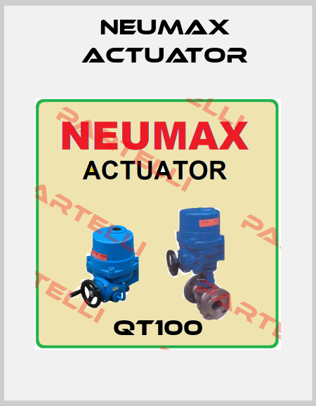 QT100 Neumax Actuator