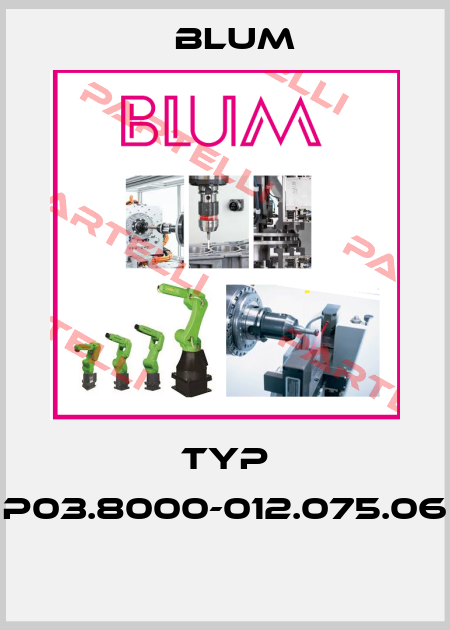 Typ P03.8000-012.075.06  Blum