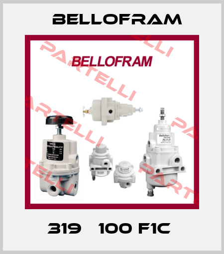 319Е 100 F1C  Bellofram