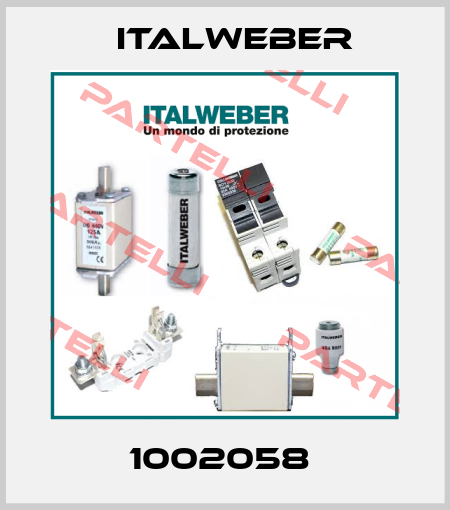 1002058  Italweber