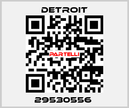 29530556  Detroit