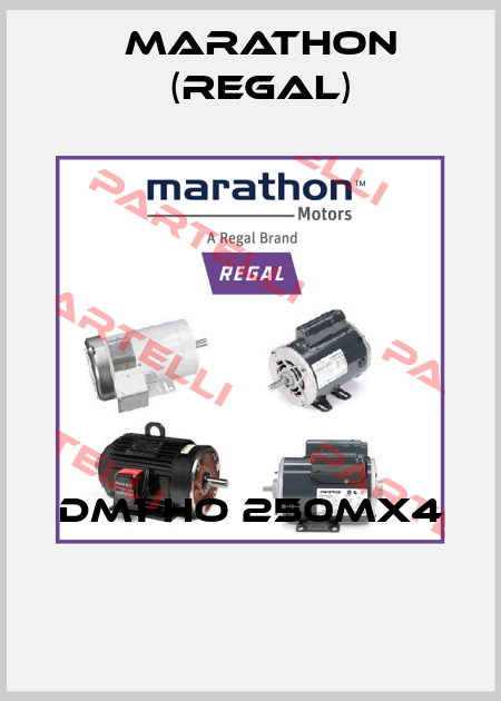 DM1-HO 250Mx4   Marathon (Regal)