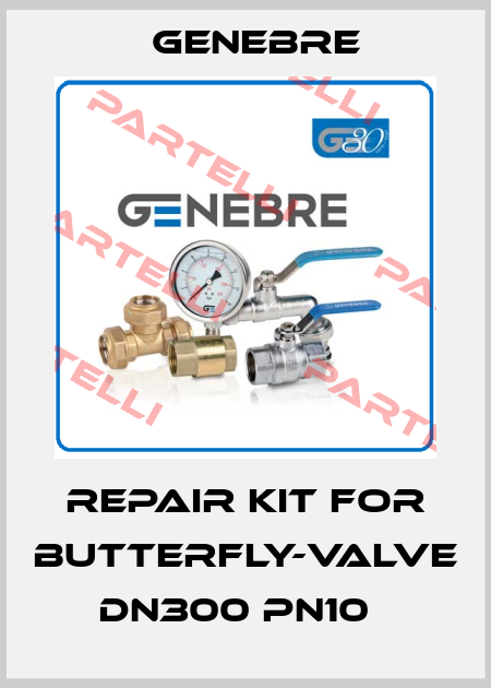 Repair kit for butterfly-valve DN300 PN10   Genebre