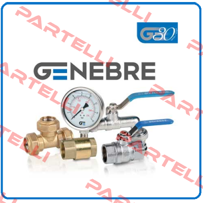 Repair kit for butterfly-valve DN300 PN10   Genebre