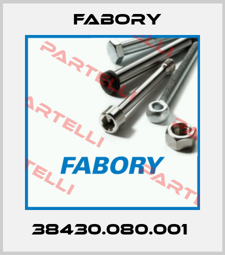 38430.080.001  Fabory