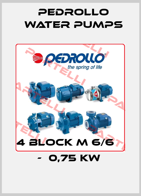 4 BLOCK M 6/6    -  0,75 KW  Pedrollo Water Pumps