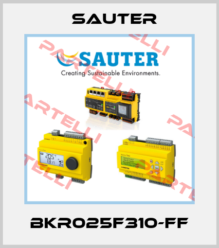 BKR025F310-FF Sauter