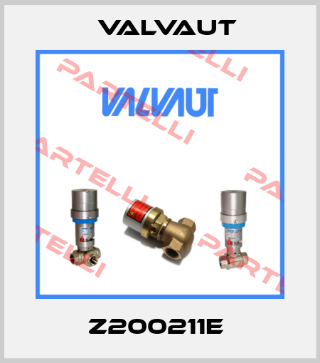Z200211E  Valvaut