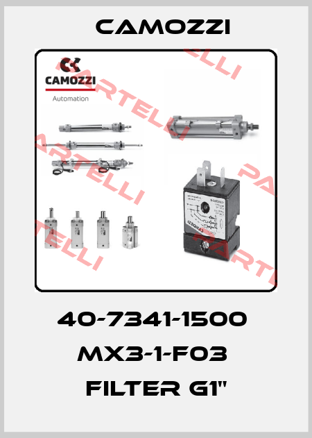 40-7341-1500  MX3-1-F03  FILTER G1" Camozzi