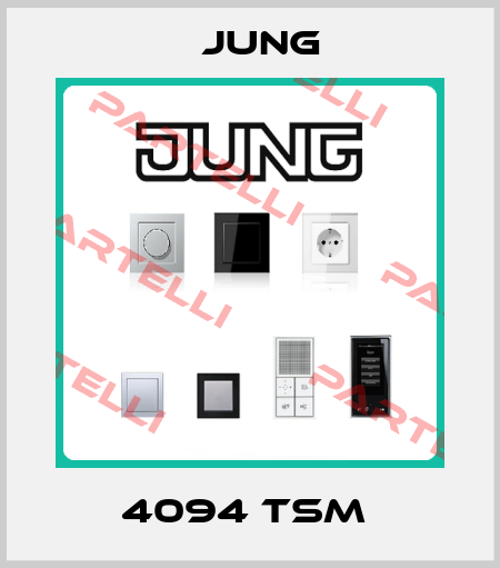 4094 TSM  Jung