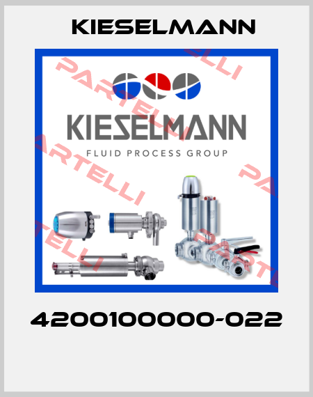 4200100000-022  Kieselmann