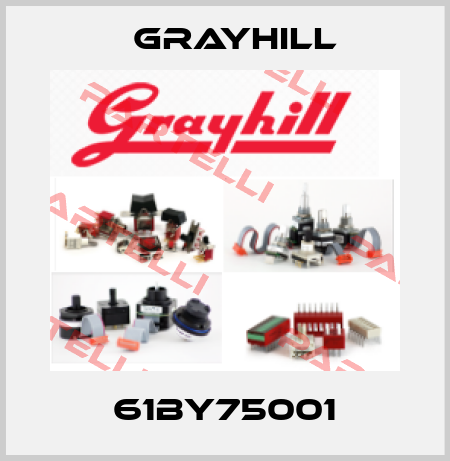 61BY75001 Grayhill