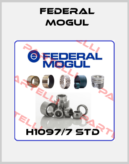 H1097/7 STD  Federal Mogul