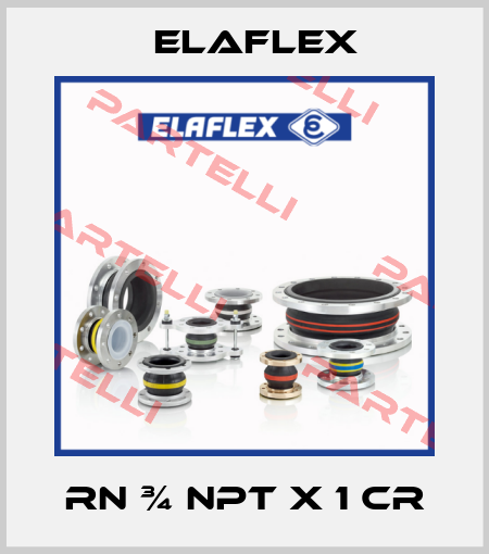 RN ¾ NPT x 1 cr Elaflex
