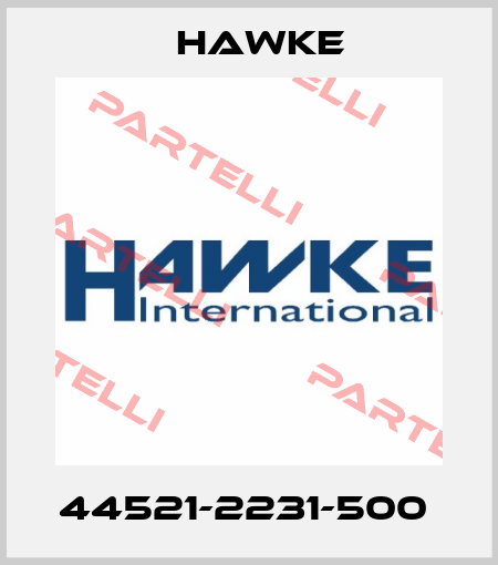 44521-2231-500  Hawke