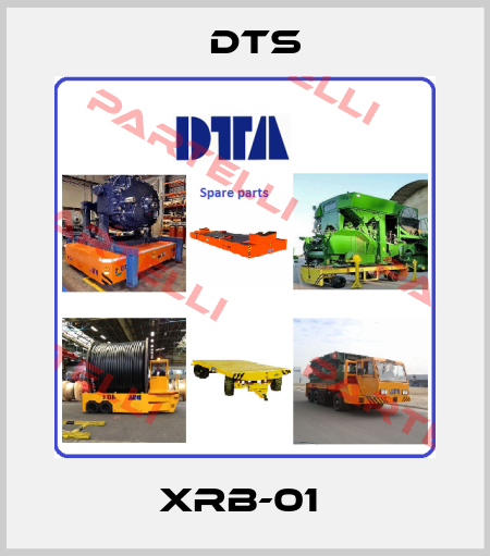 XRB-01  DTS