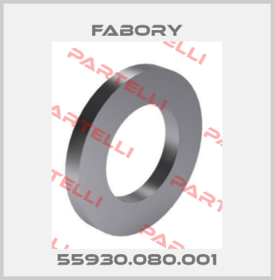 55930.080.001 Fabory