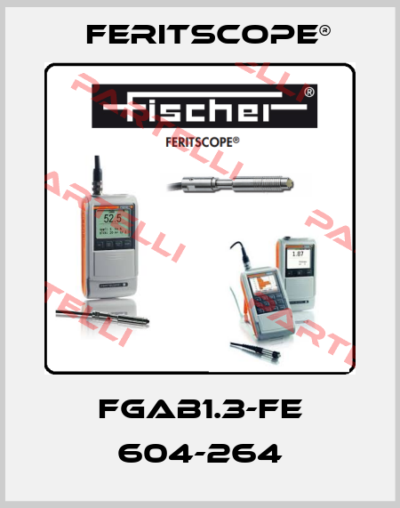 FGAB1.3-FE 604-264 Feritscope®