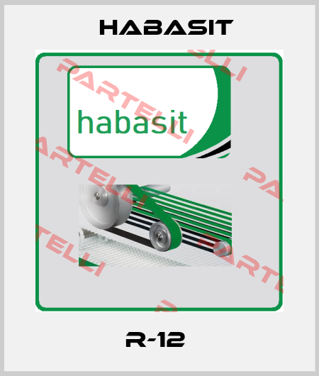 R-12  Habasit