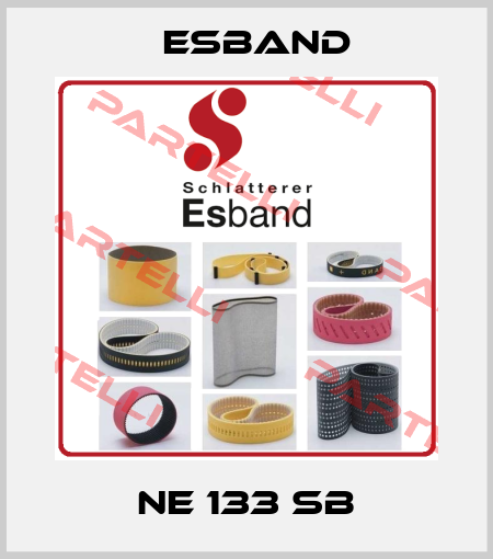 NE 133 SB Esband