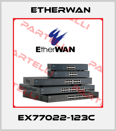 EX77022-123C  Etherwan