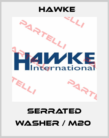 SERRATED WASHER / M20  Hawke