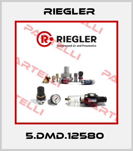 5.DMD.12580  Riegler