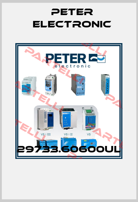 29733.60600UL  Peter Electronic