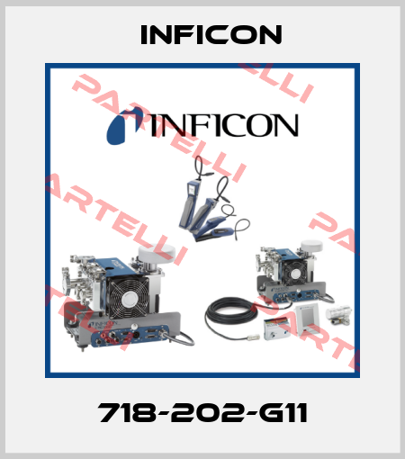 718-202-G11 Inficon