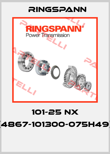 101-25 NX (4867-101300-075H49)  Ringspann