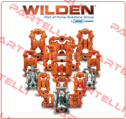 08-5000-20  Wilden