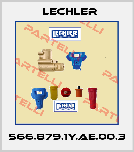 566.879.1Y.AE.00.3 Lechler
