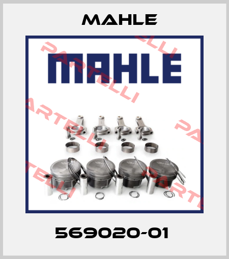 569020-01  MAHLE
