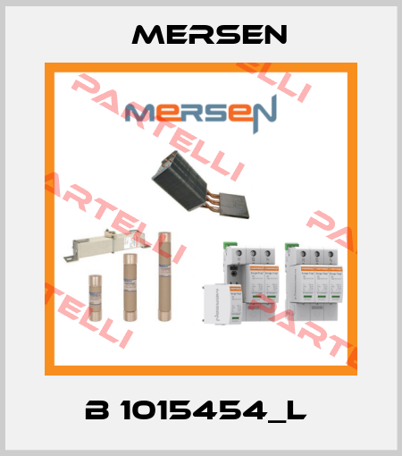 B 1015454_L  Mersen