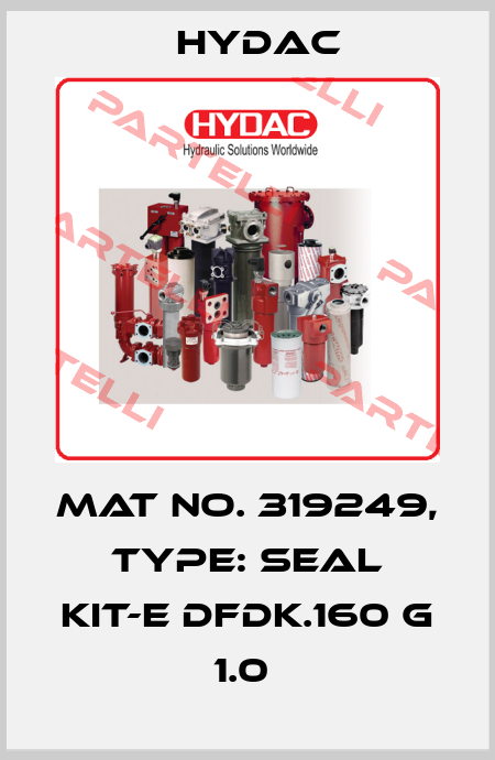 Mat No. 319249, Type: SEAL KIT-E DFDK.160 G 1.0  Hydac