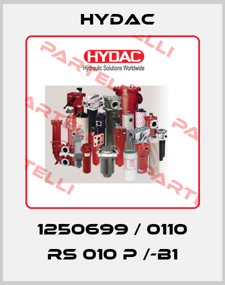 1250699 / 0110 RS 010 P /-B1 Hydac