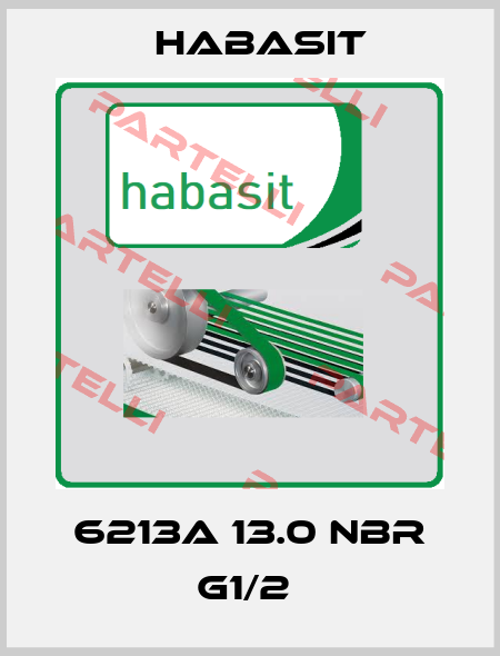 6213A 13.0 NBR G1/2  Habasit