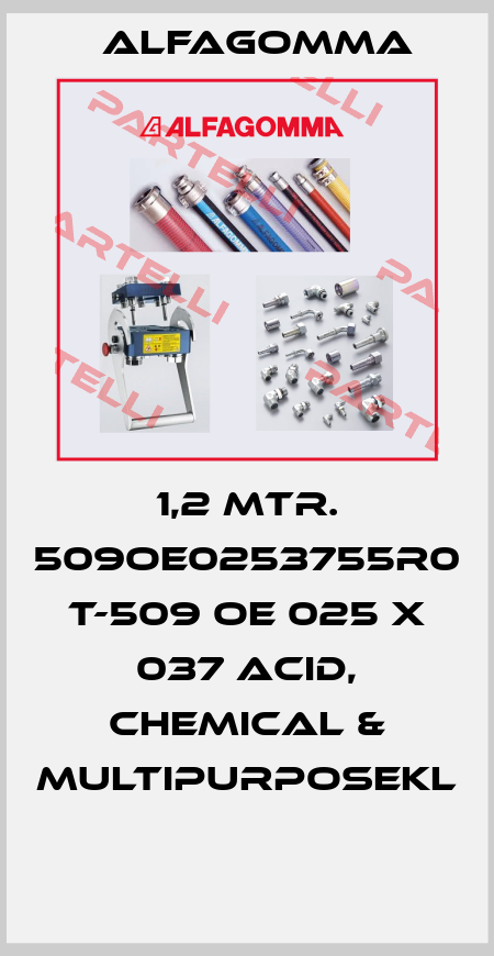 1,2 MTR. 509OE0253755R0 T-509 OE 025 X 037 ACID, CHEMICAL & MULTIPURPOSEKL  Alfagomma